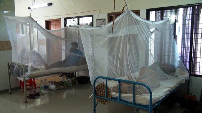 dengue fever 2