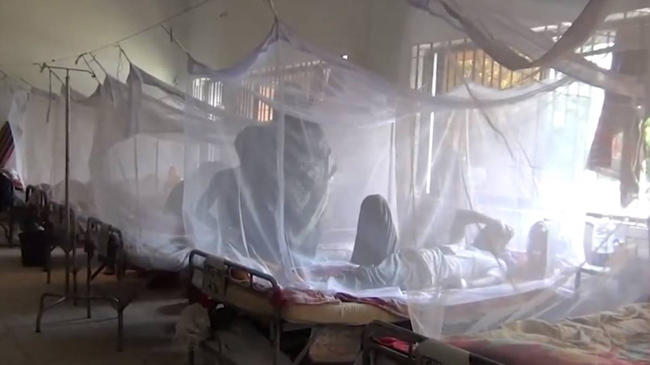dengue patiant