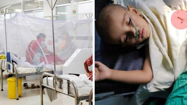 dengue patient habib mia