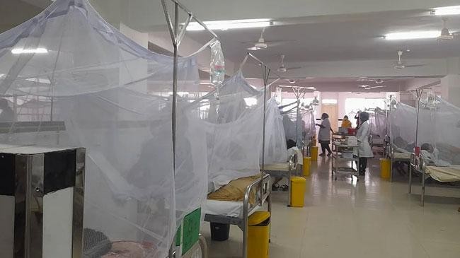 dengue patient 1