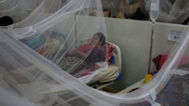 dengue patient 6