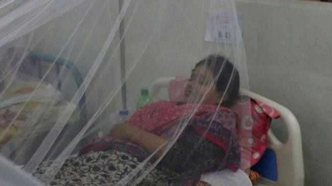 dengue patient 8