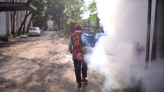 dengue situation