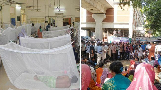 dengue teacher movement