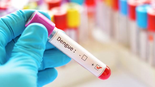 dengue test 1