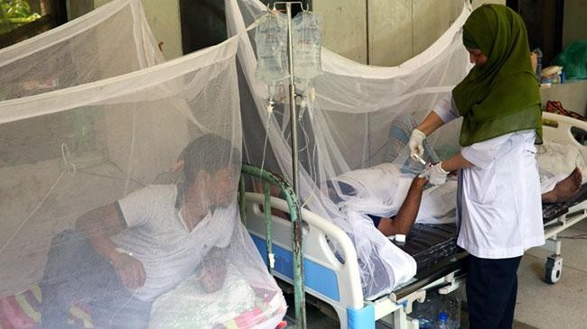 dengue fever