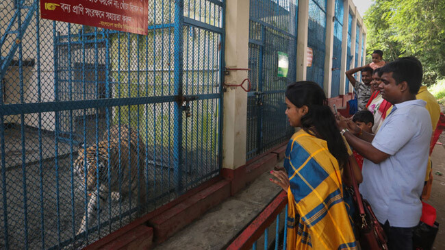 dhaka national zoo 1