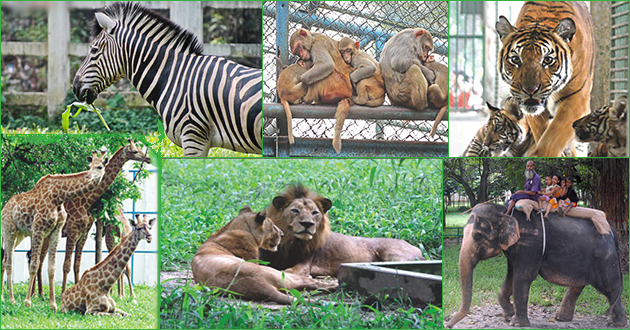 dhaka zoo