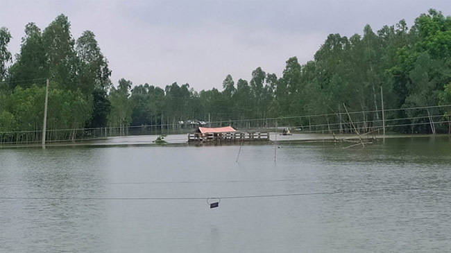 dharla river