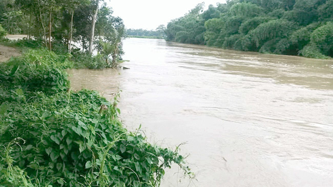 dholai river water