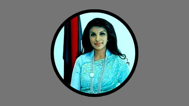 diplomat saida muna tasneem