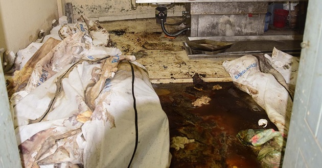dmch morgue