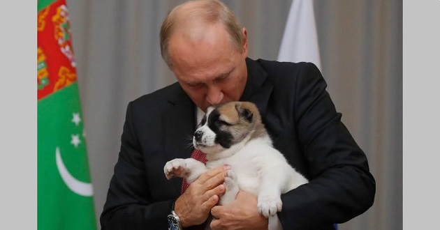 dog gift to putin