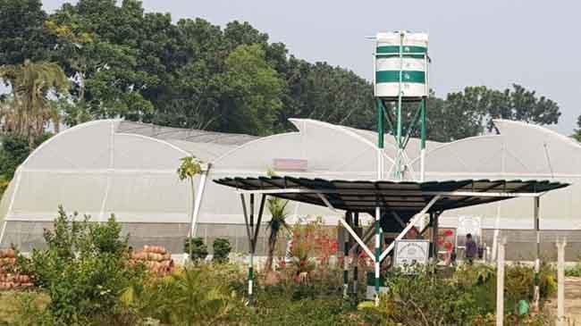 drip irrigation cultivate