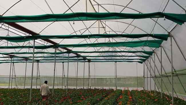 drip irrigation cultivate2