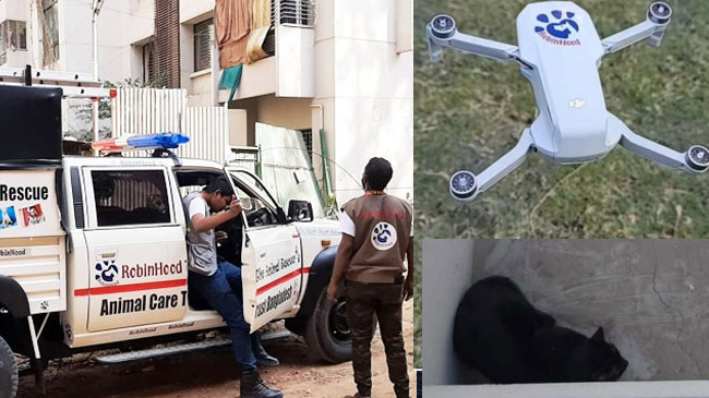 drone drive rescuing cat capital