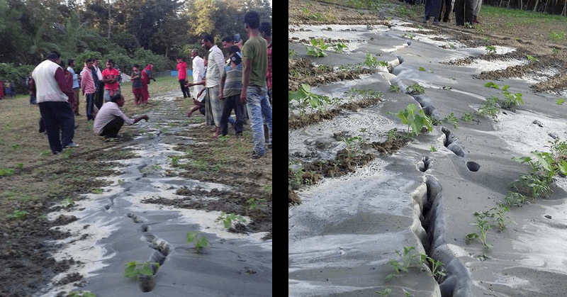 eartkquake in shrimongal