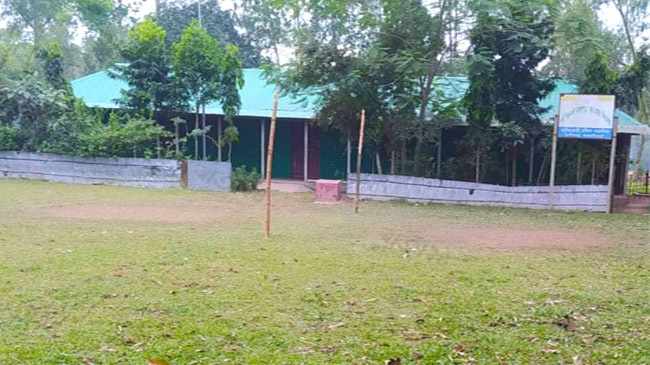 east bichondei dangapara govt praimary school