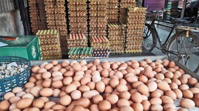 egg shop