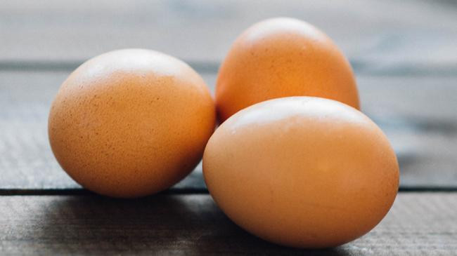 egg