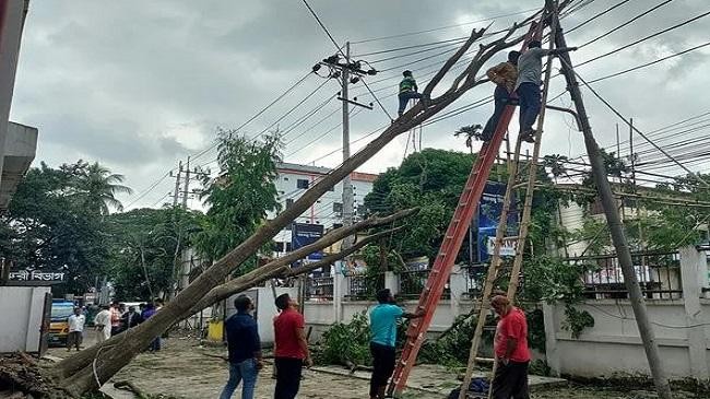 electric line