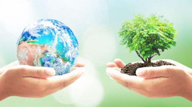 environment day