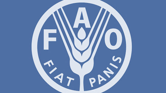 fao logo