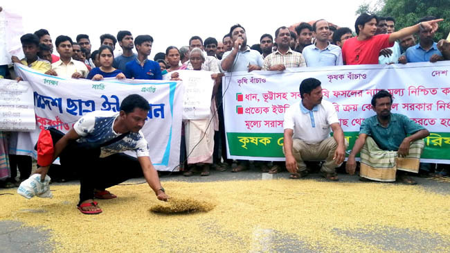 farmers thakurgaon