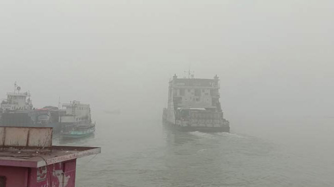 ferry movement stop paturia