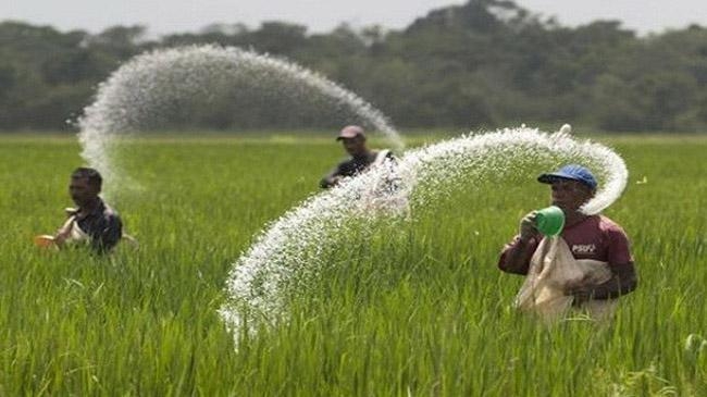 fertilizer 2022