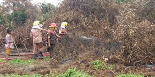 fire again in sundarbans