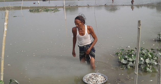 fish died in kishoregonj