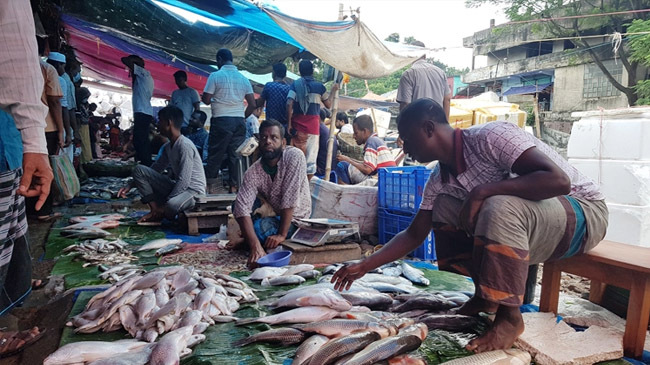 fish export