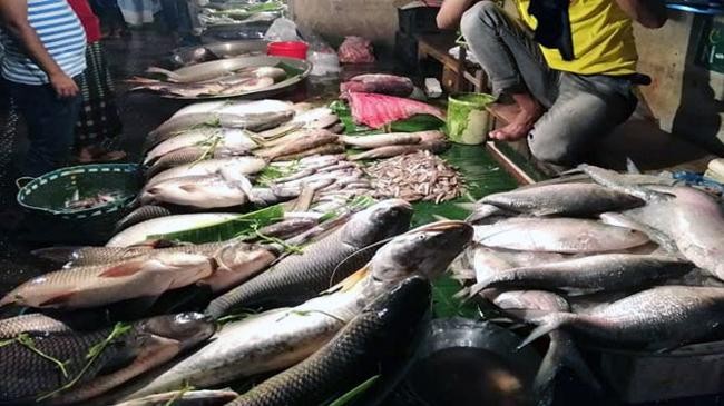 fish market