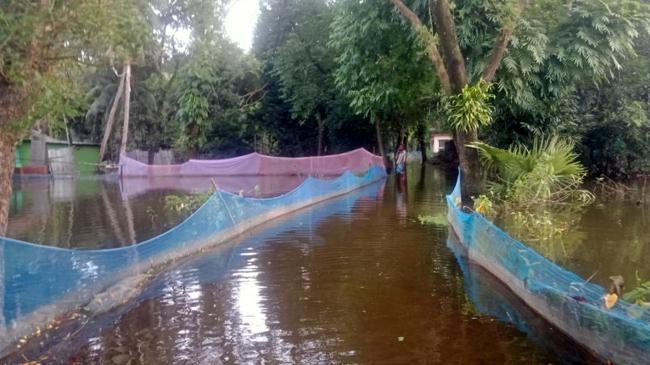 fish worth over tk 576 crore washed away in flood in noakhali