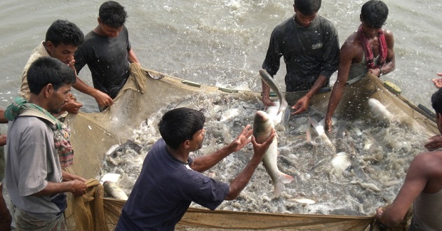fisherman bangladesh