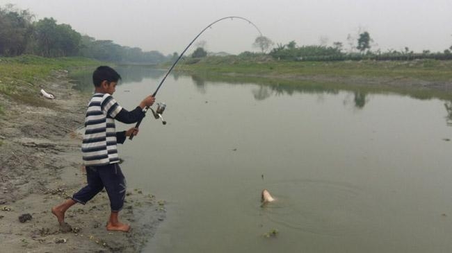 fishing rod