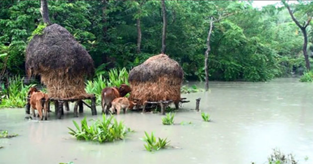 flooded inborguna