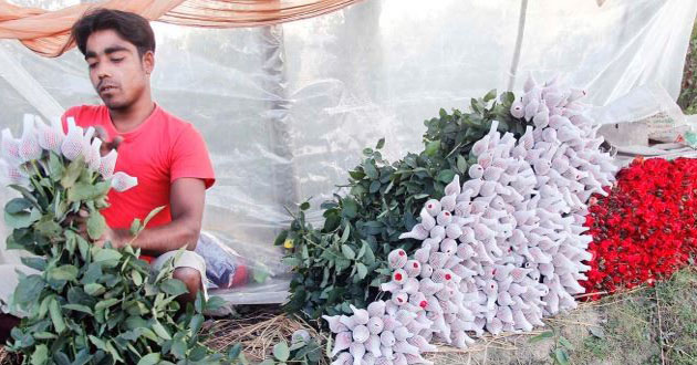 flowers are sold in jessore 1