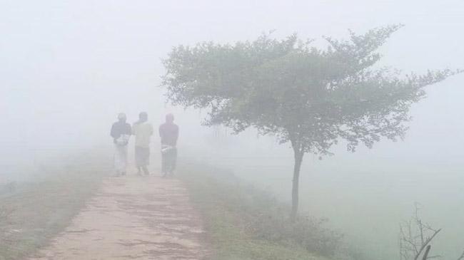 fog sheets