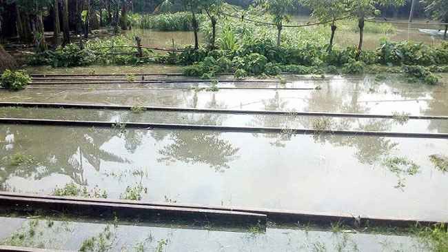 gaibandha flood train line