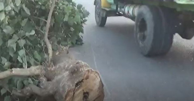 ganadakati by putting trees on the road in savar