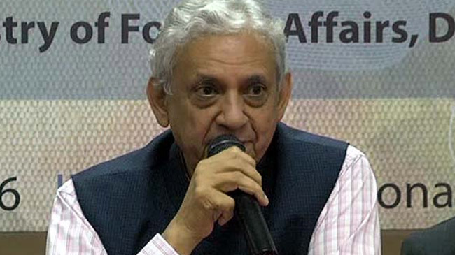 gawhar rizvee pm adviser