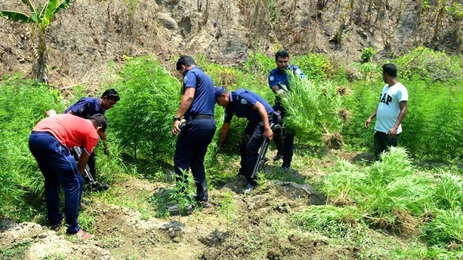 gaza bandarban new