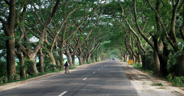 gazipur forest