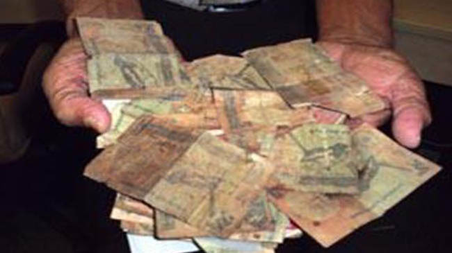 germs in money