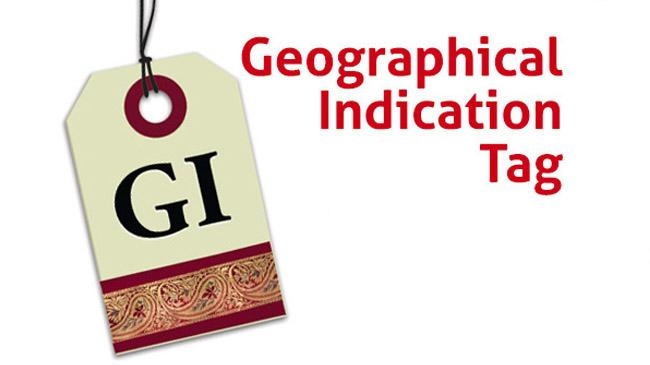 gi certificate