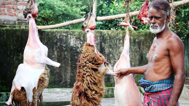 goat meat