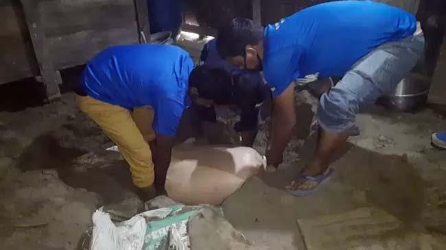 govt rice recoverd