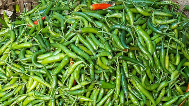 green chilli